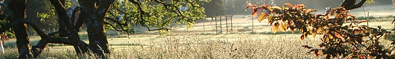 Makaria Farm: an organic strawberry and organic vegetable farm in the Cowichan Valley.